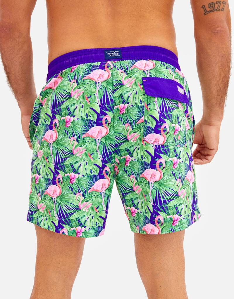 Bañador Regular Microfibra - Jungle