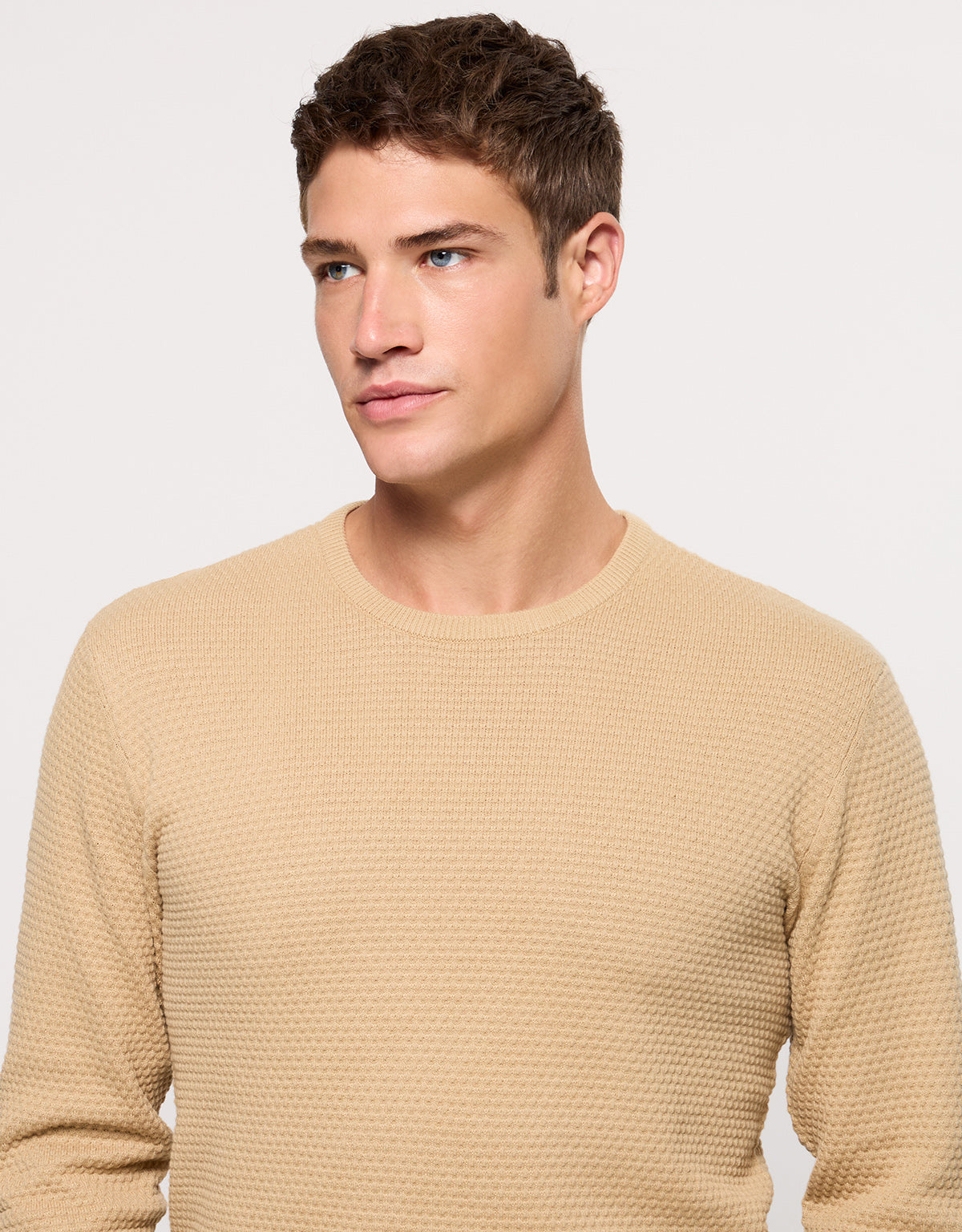 Jersey Algodón Arena - Wigan 2