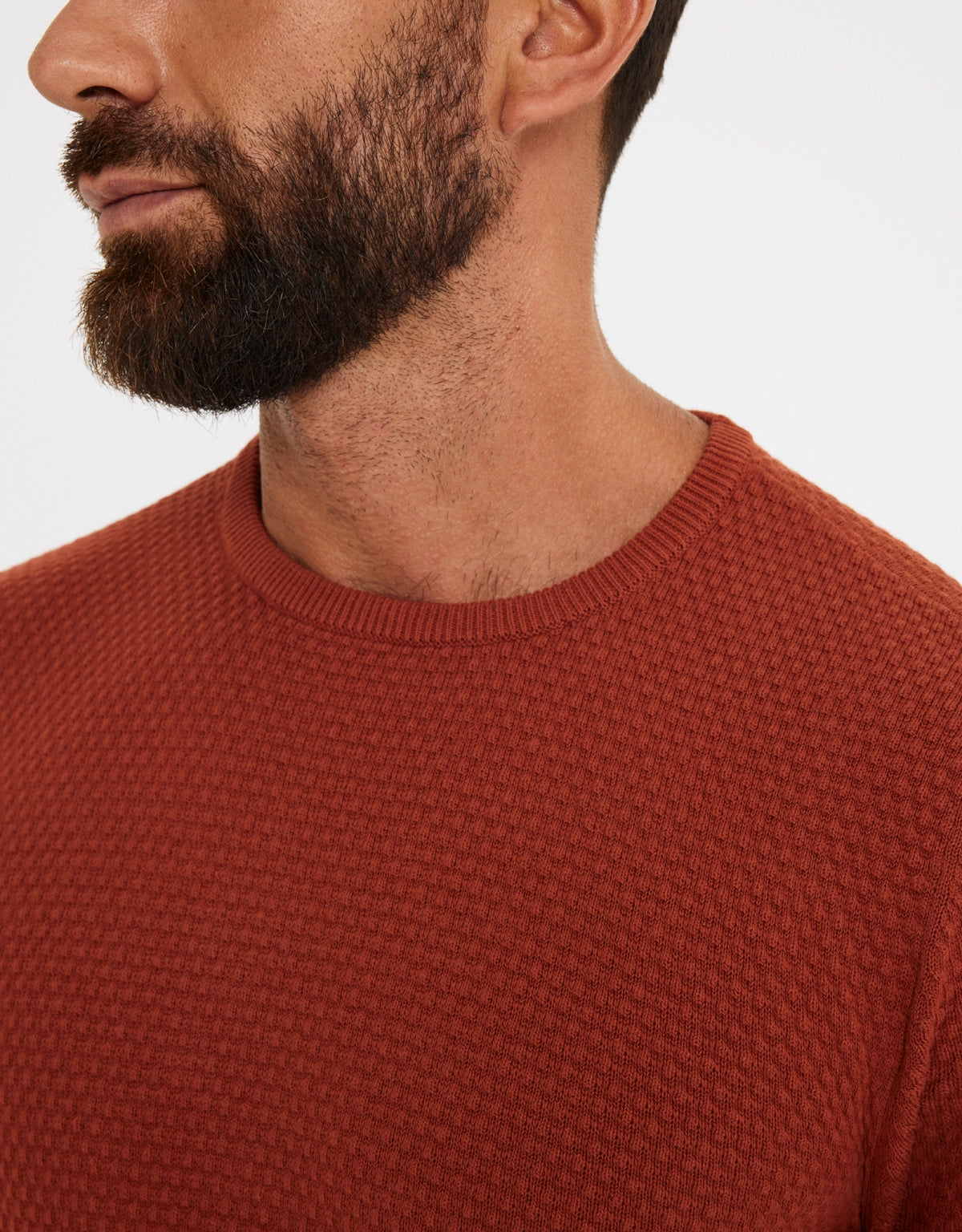 Jersey Algodón Granate - Wigan