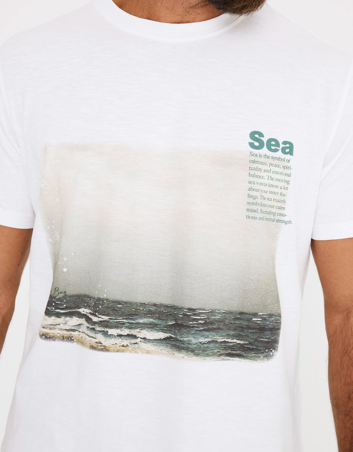 Camiseta Manga Corta Algodón - Turnersea