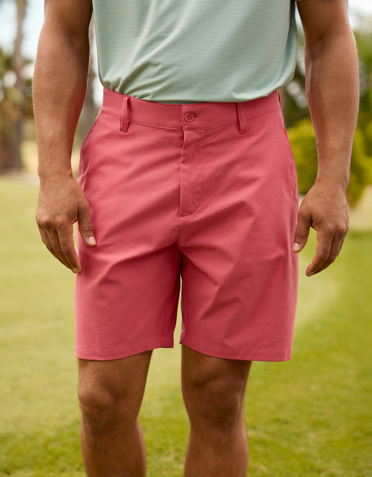 Bermuda-Koralle - Pantland