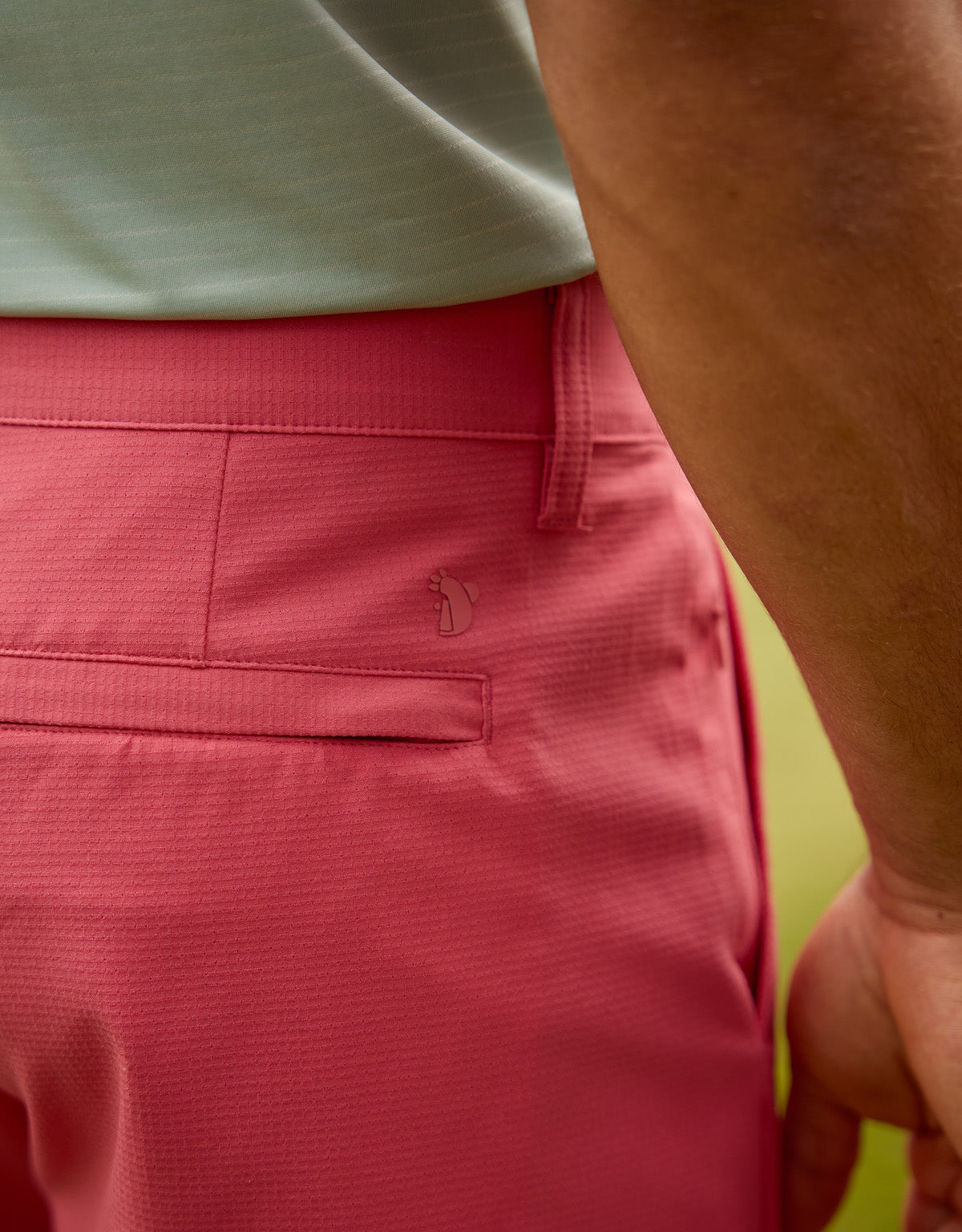 Bermuda-Koralle - Pantland