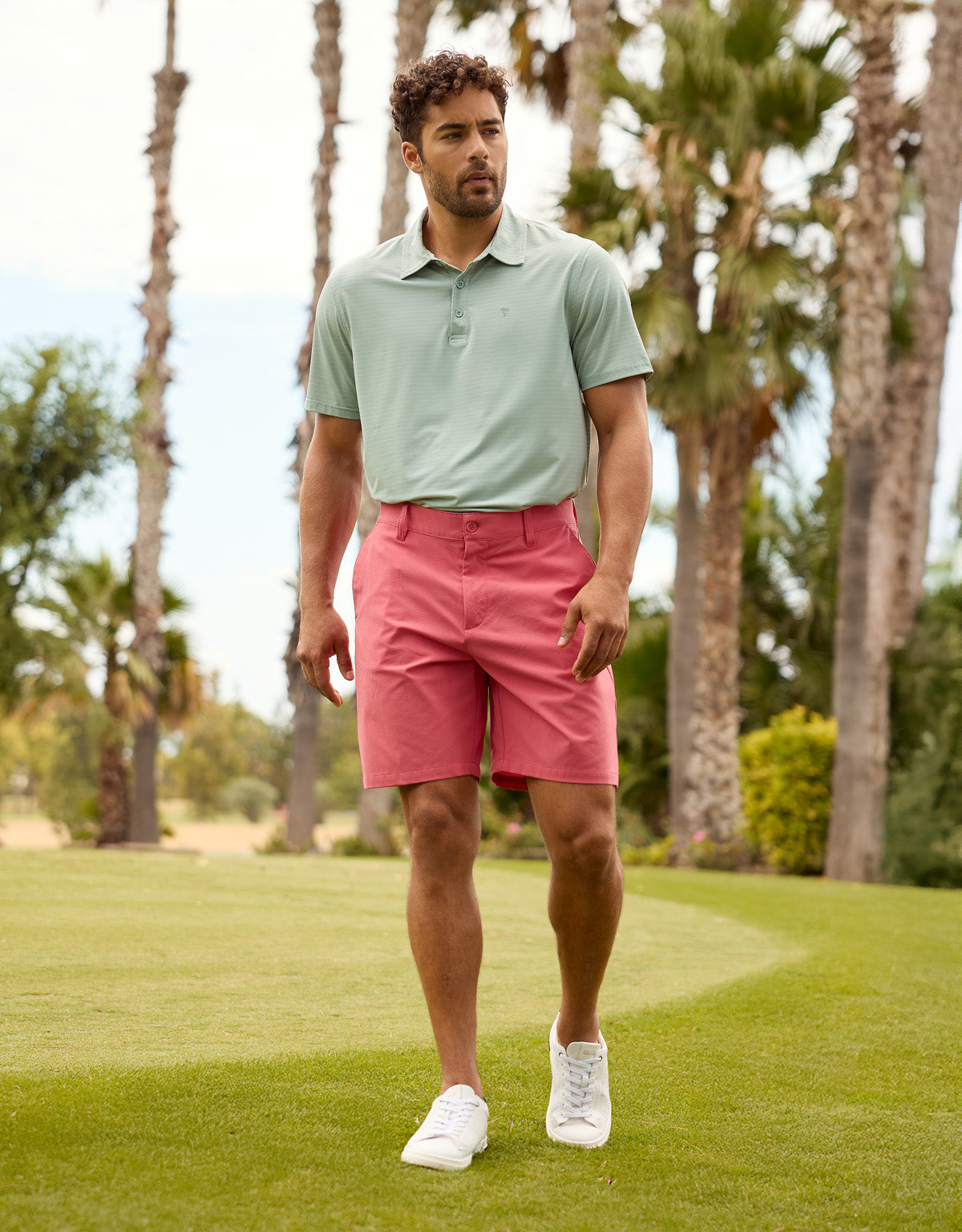 Bermuda-Koralle - Pantland