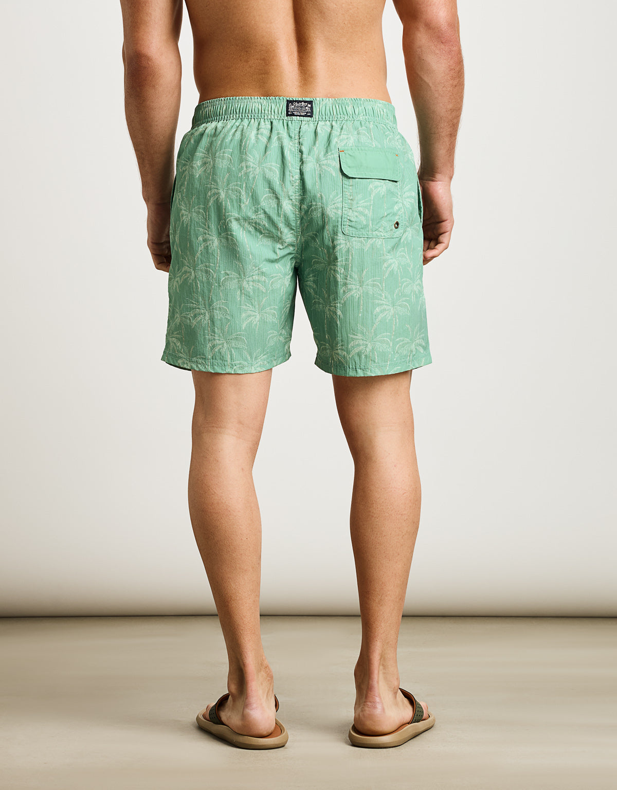 Bañador Regular Verde - Alpha 2