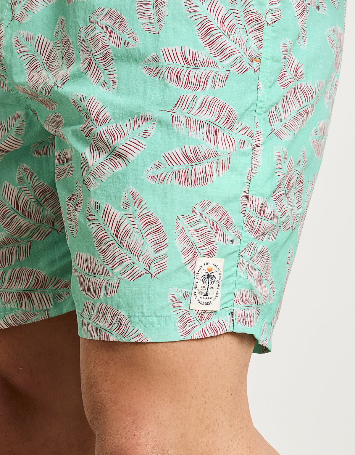 Bañador Regular Verde - Lisa 6