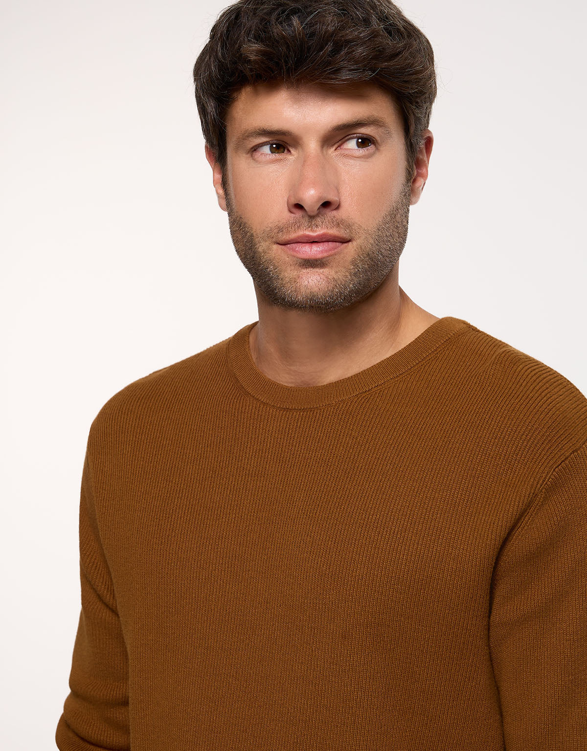 Jersey Manga Larga Marrón - Drobo 2