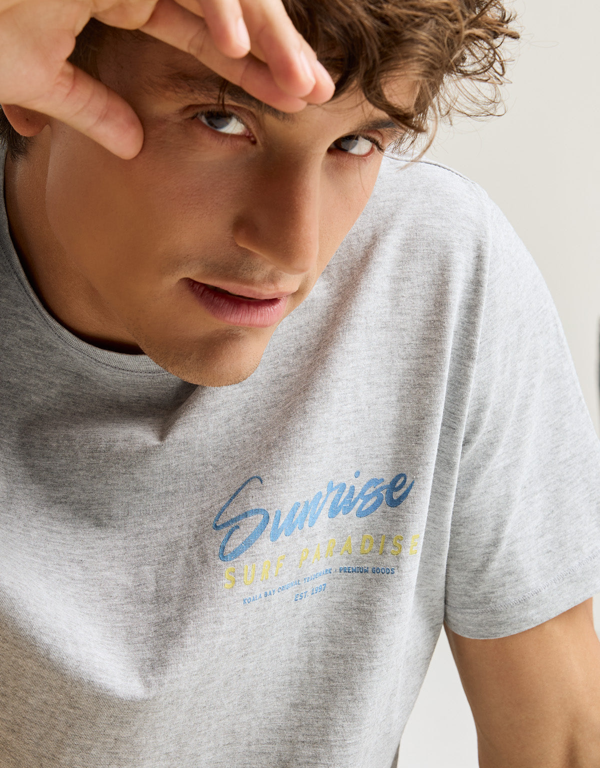 Camiseta Manga Corta Gris - Sundaise 8