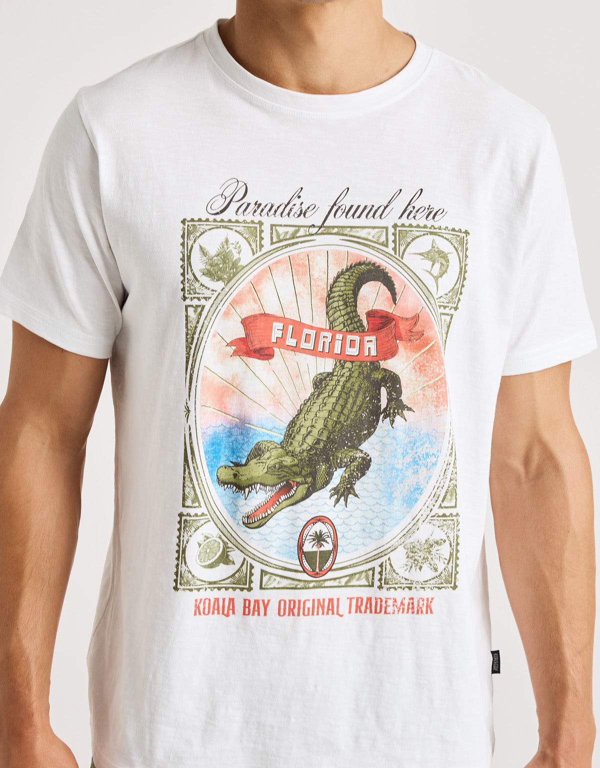 T-Shirt Kurzarm Weiß – Springsteen