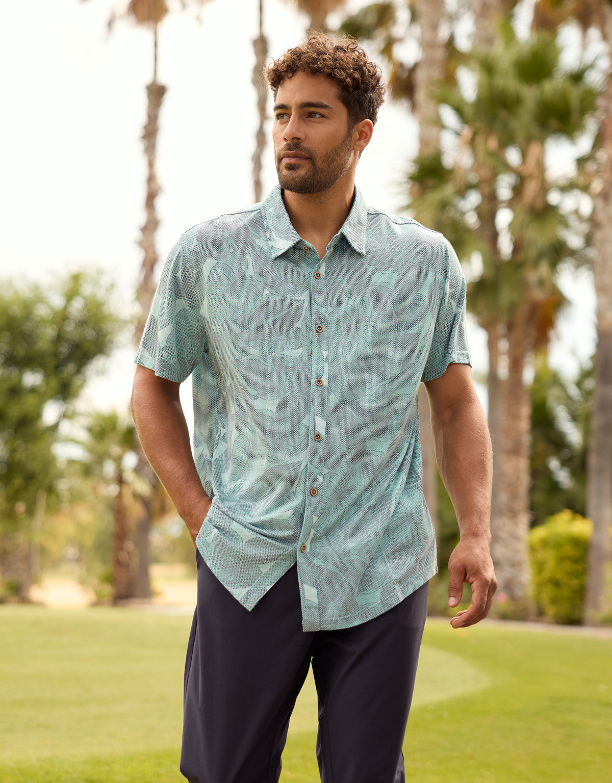 Camisa Manga Corta Verde - Folded