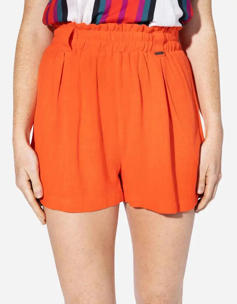 Bermuda Cat Nararanja by Koala Bay