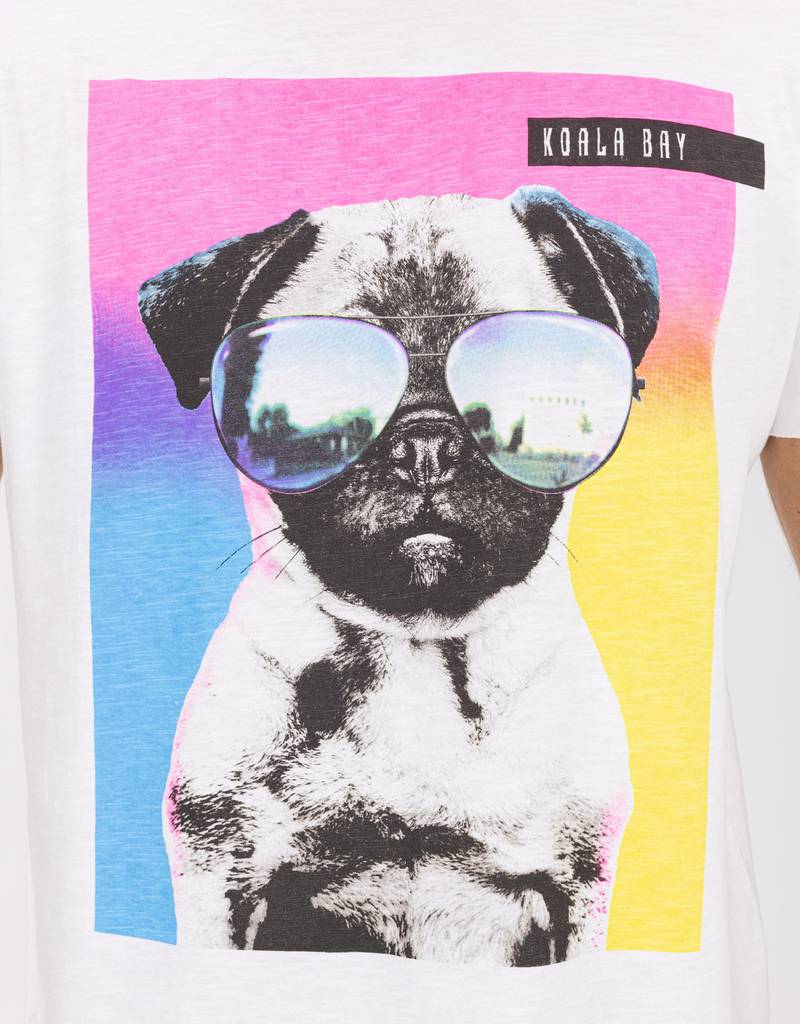 Doggy shirt sale