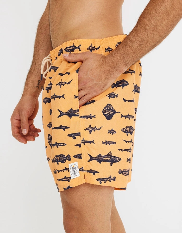 Bañador Corto Motivo Naranja - Fish 