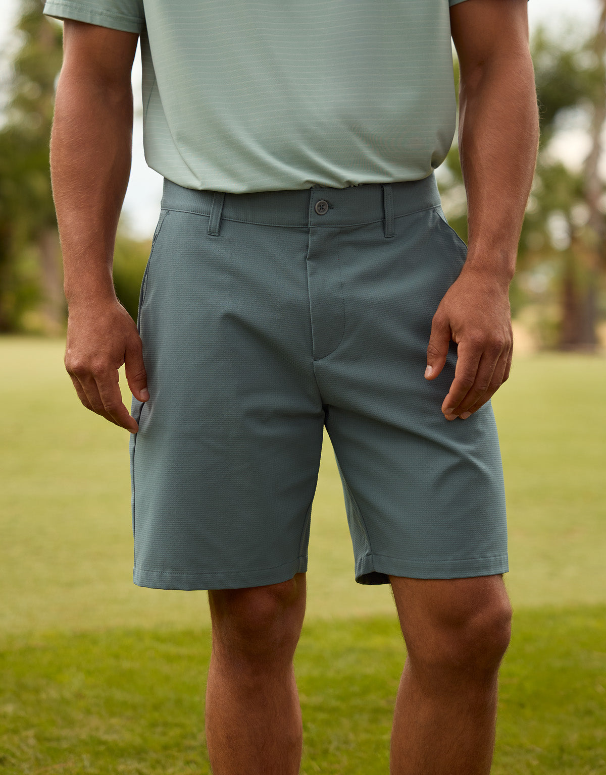 Bermudagrün - Pantland