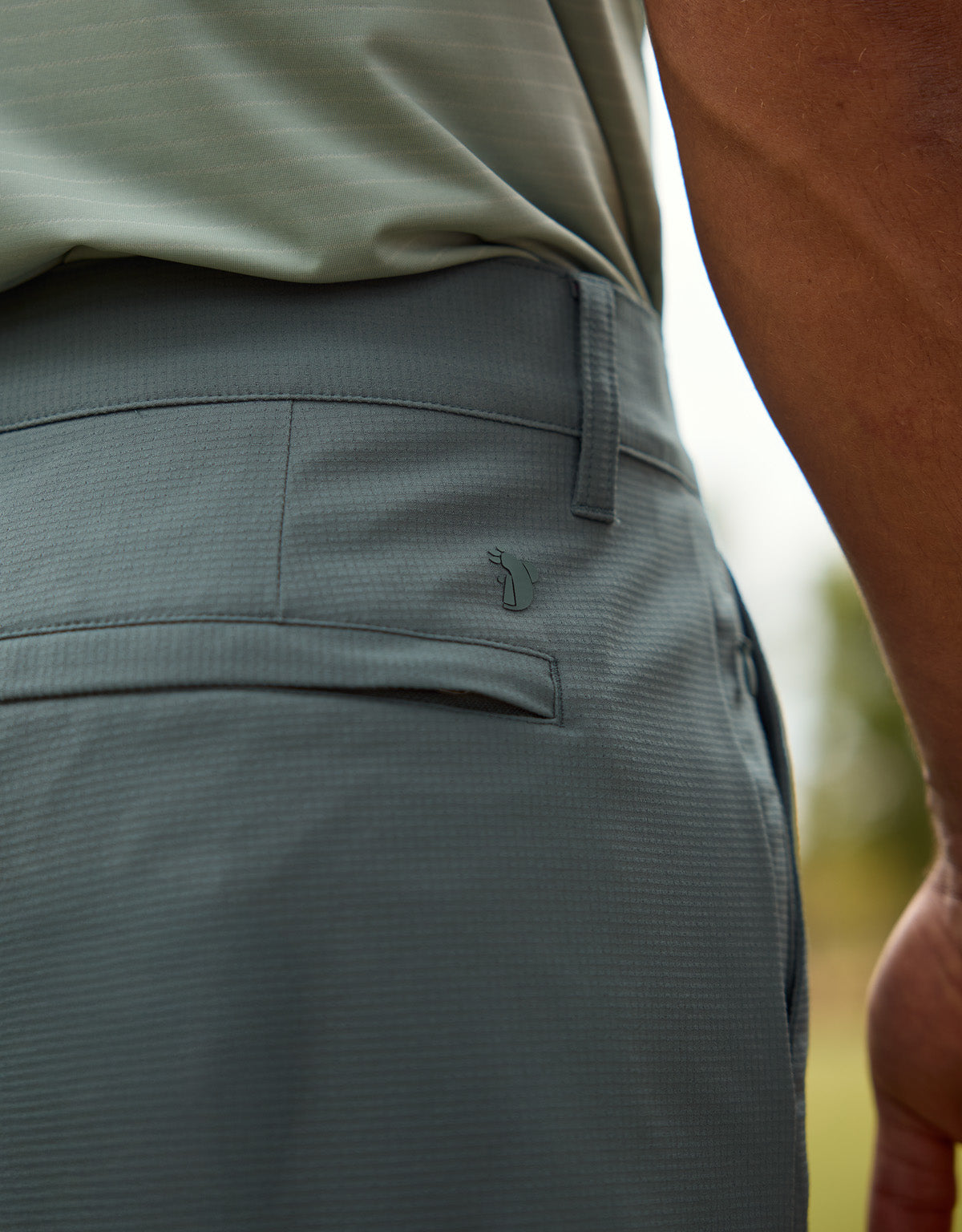 Bermudagrün - Pantland