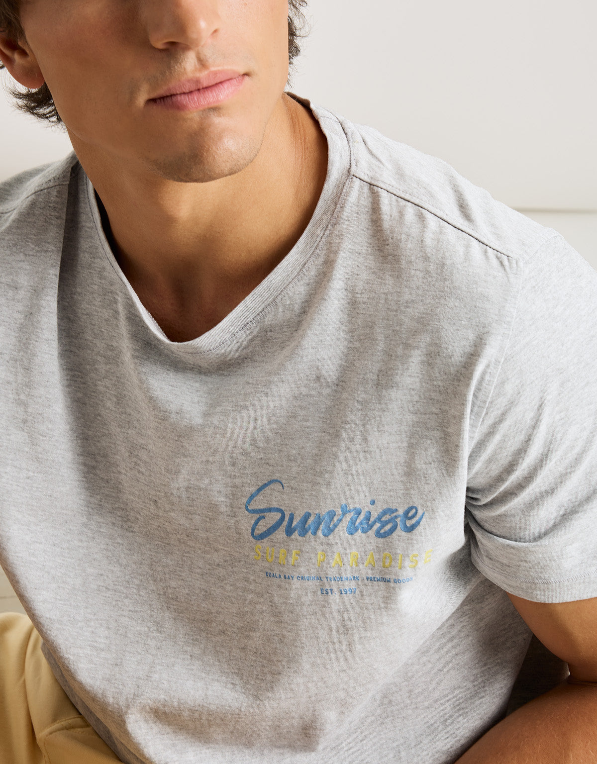 Camiseta Manga Corta Gris - Sundaise 7